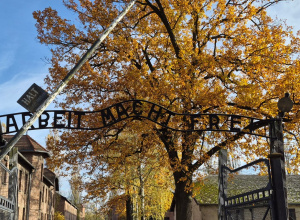 Wycieczka do Auschwitz